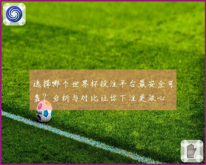 选择哪个世界杯投注平台最安全可靠？分析与对比让你下注更放心
