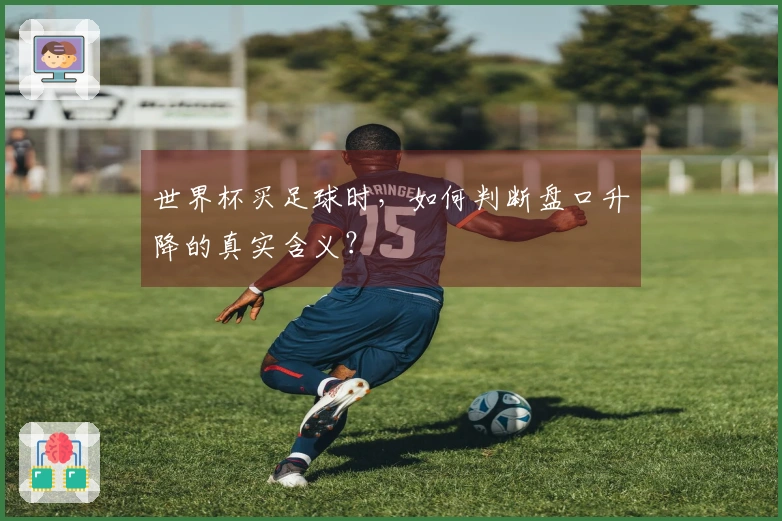 世界杯买足球时，如何判断盘口升降的真实含义？