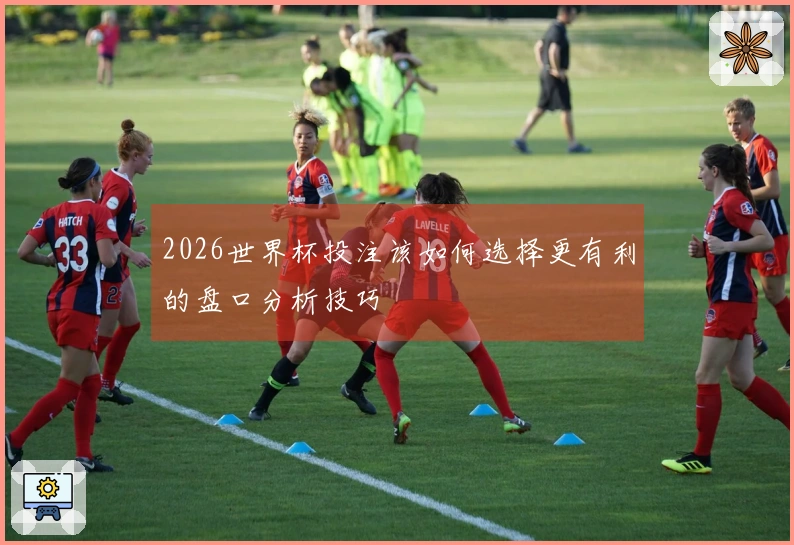 2026世界杯投注该如何选择更有利的盘口分析技巧