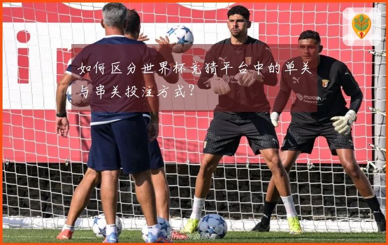 如何区分世界杯竞猜平台中的单关与串关投注方式?