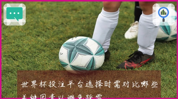 世界杯投注平台选择时需对比哪些关键因素以避免踩雷