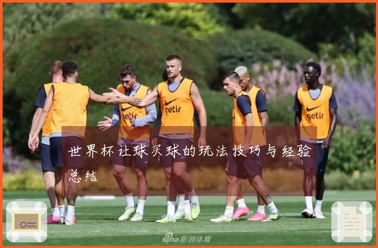 世界杯让球买球的玩法技巧与经验总结