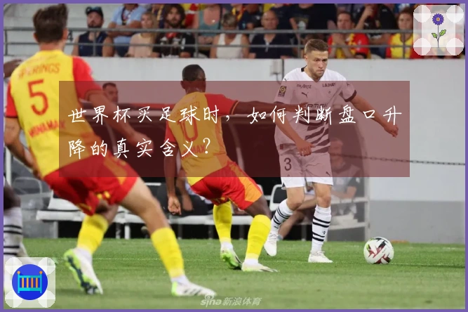 世界杯买足球时，如何判断盘口升降的真实含义？