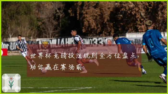 世界杯竞猜投注规则全方位盘点，助你赢在赛场前