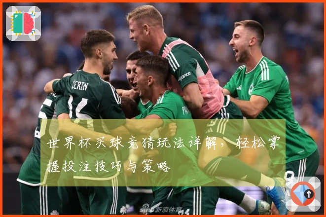 世界杯买球竞猜玩法详解，轻松掌握投注技巧与策略