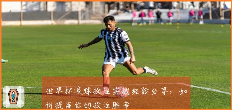 世界杯滚球投注实战经验分享，如何提高你的投注胜率