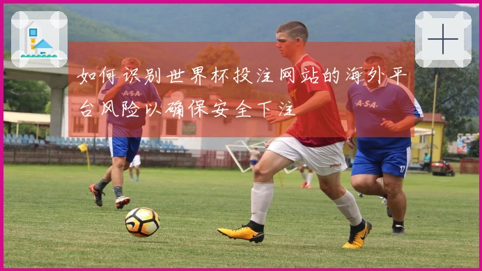 如何识别世界杯投注网站的海外平台风险以确保安全下注